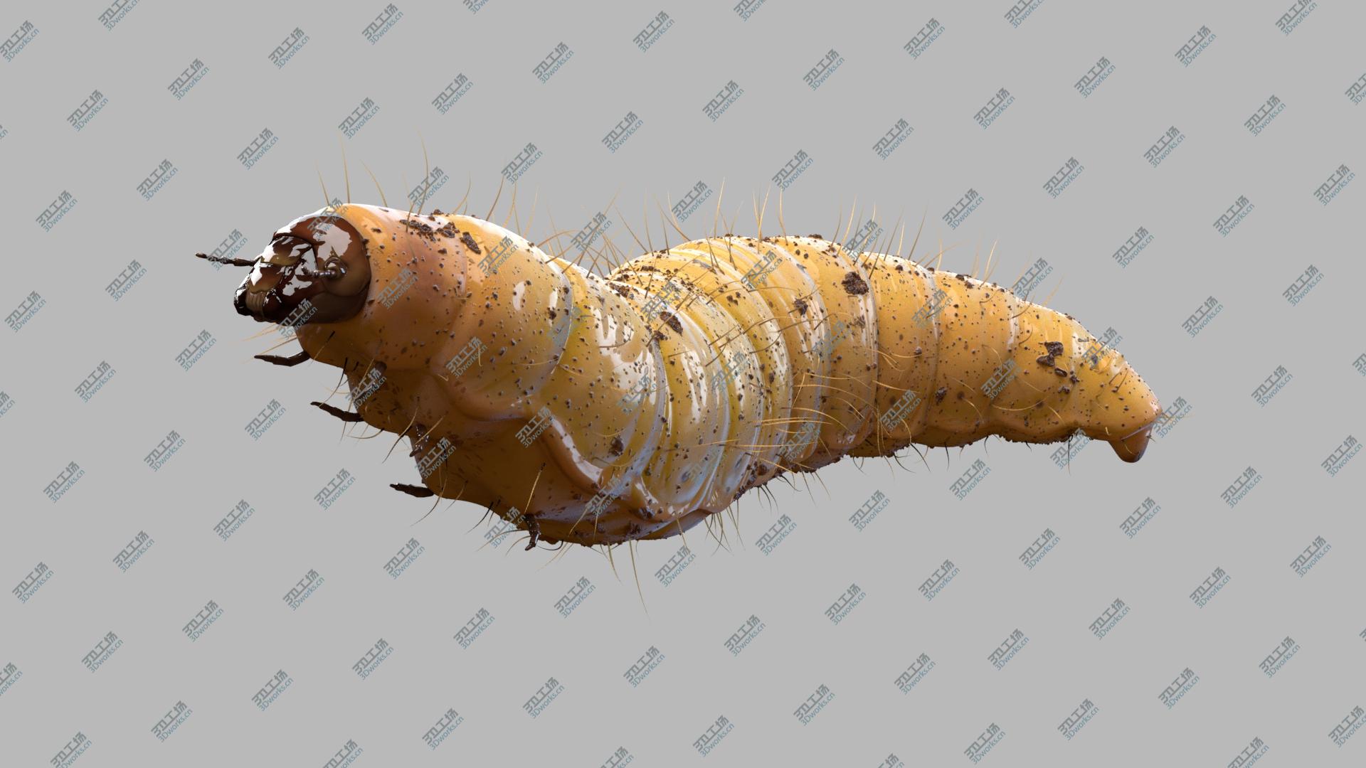 images/goods_img/2021040164/Maggot (Fur) (Rigged) 3D/1.jpg
